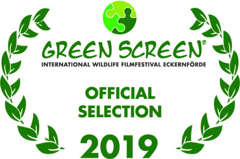 Greenscreen Filmfestival 2019, Das Vermächtnis, Official Selection