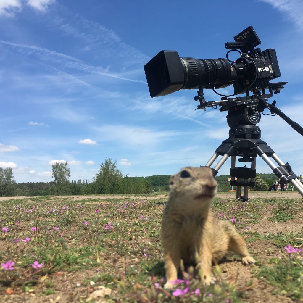 Wildlife Kameramann